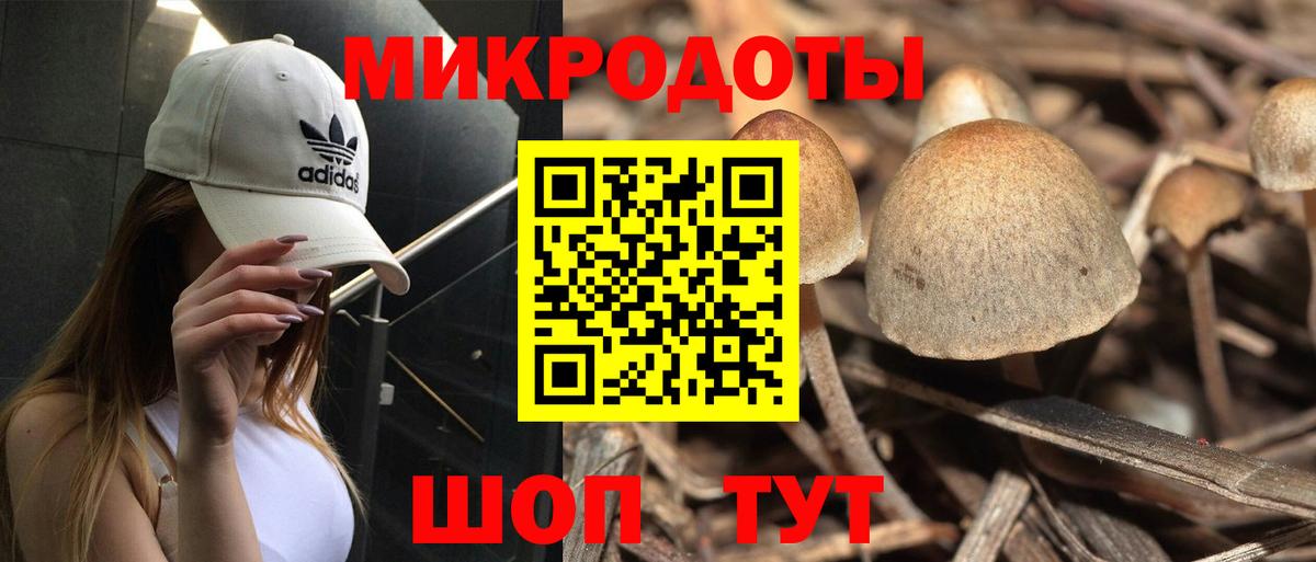 Псилоцибиновые грибы Psilocybine cubensis Борисоглебск